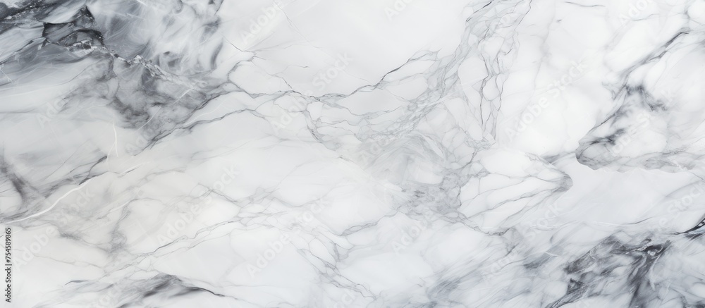 Poster detailed close-up view of the intricate patterns and veins in a white marble texture. the smooth sur