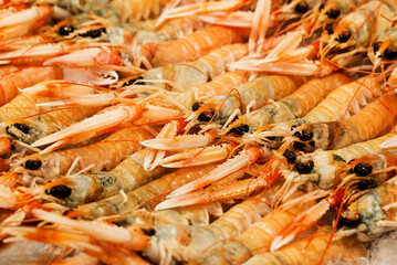 fish market with many different fresh fishes