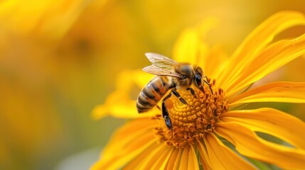 A bee is sitting on a yellow flower. The bee is surrounded by the flower's petals and is the main focus of the image. Concept of World Bee Day
