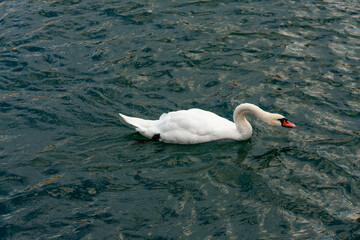 Lucerne, Canton Lucerne, Switzerland
