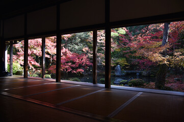 秋の蓮華寺　書院から庭園を望む　京都市左京区