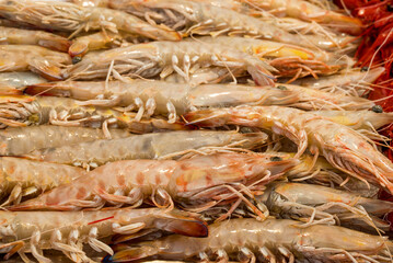 fish market with many different fresh fishes