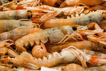 fish market with many different fresh fishes