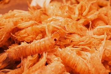 fish market with many different fresh fishes