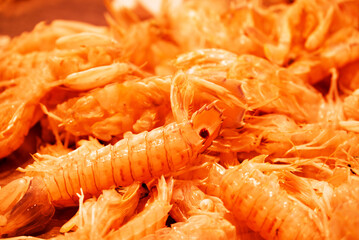 fish market with many different fresh fishes