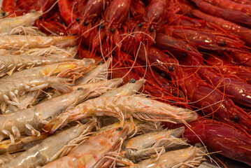 fish market with many different fresh fishes