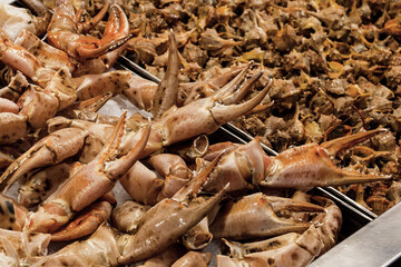 fish market with many different fresh fishes