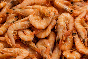 fish market with many different fresh fishes