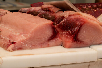 fish market with many different fresh fishes