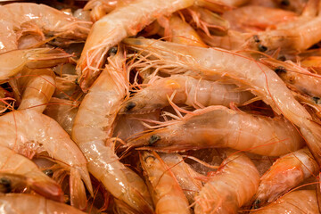 fish market with many different fresh fishes