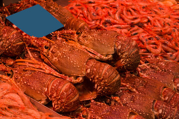 fish market with many different fresh fishes