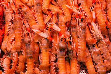 fish market with many different fresh fishes