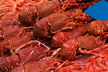 fish market with many different fresh fishes