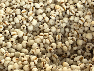 close up white millet texture