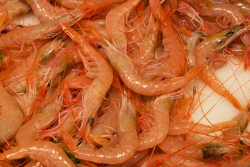 fish market with many different fresh fishes