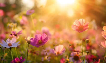 Poster Weide  spring or summer garden background in closeup macro view or flowers meadow field in morning light, Generative AI 