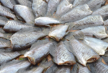 close up dry sepat siam fish - raw food thailand style