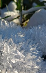 winter snow frost