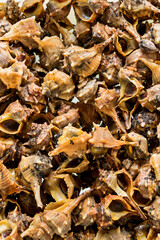 fish market with many different fresh fishes