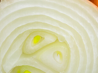 close up of sliced onion
