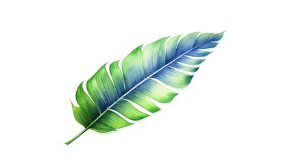 Watercolor palm leaf isolated on white background. Hand drawn illustration