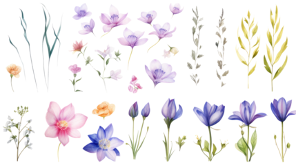 Set of watercolor wildflowers painting isolated on clear png background and transparent background. Fresh and nature concept for nature decorative and flower element, AI generative.	