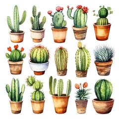 Poster de jardin Cactus en pot Watercolor Set Of Colorful Cactus Plants And Succulent Plants In Pot Isolated On White Background