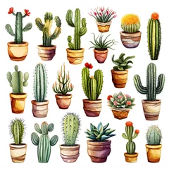 Photo sur Aluminium Cactus en pot Watercolor Set Of Colorful Cactus Plants And Succulent Plants In Pot Isolated On White Background