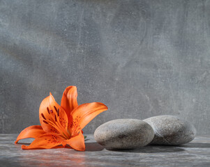 zen stones and flower for podium
