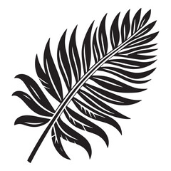 Obraz premium Tropical leaves silhouette