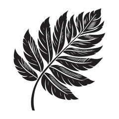 Obraz premium Tropical leaves silhouette