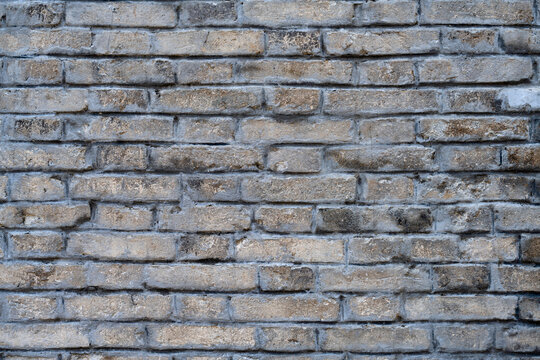 Fototapeta gray brick wall texture background 