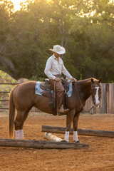 Cowboy Horse Trainer