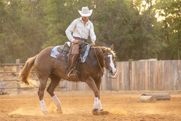 Cowboy Horse Trainer riding a sorrel quarter horse