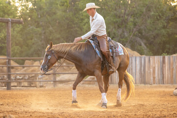 Cowboy Horse Trainer