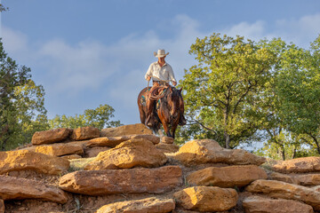 Cowboy Horse Trainer