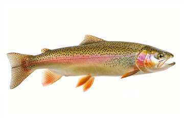 Rainbow Trout. Oncorhynchus mykiss. Generative AI.
