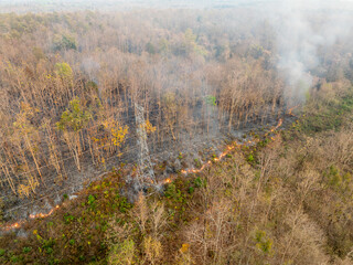 Bushfire is burning near power transmission tower line.