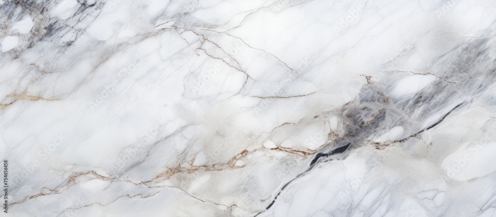 Poster a detailed close-up of a white marble texture, showcasing intricate veining and subtle variations in