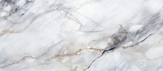 A detailed close-up of a white marble texture, showcasing intricate veining and subtle variations in color. The smooth surface reflects light, creating a luxurious and elegant appearance.