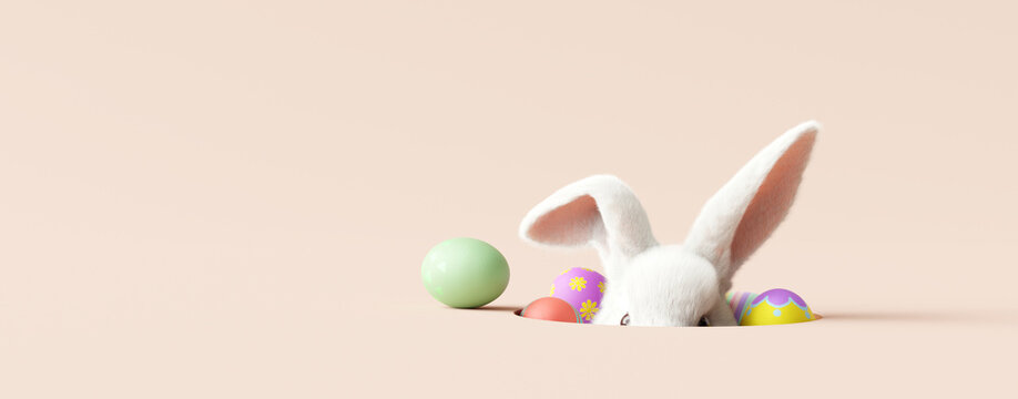 Fototapeta Easter bunny peeking out of a hole on cream color background. 3d rendering