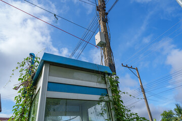 Old public telephone booth next to an electric pole. There are vines growing up.