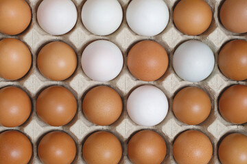 Chicken eggs in a cardboard box ready to cook on a yellow background