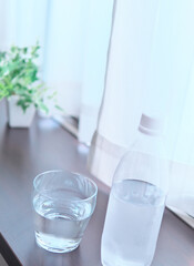 水とグリーン(植物)