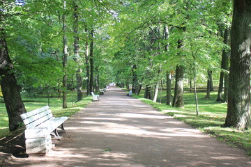 alley in the park