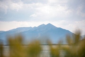 Mountains with yellow flowers