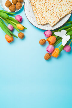 Jewish holiday Passover vertical greeting card with matzah and  spring tulip flowers on blue  background. Top view, flat lay composition