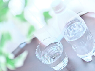 水とグリーン(植物)