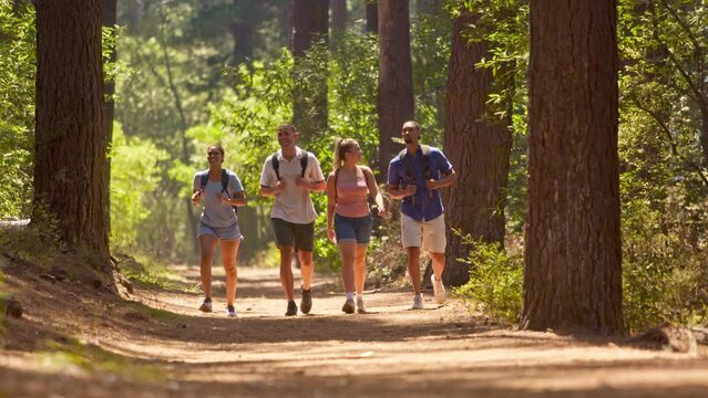 Young active couple with friends wearing backpacks hiking along trail through summer countryside walking towards camera - shot in slow motion