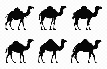 Camel Silhouette Vector Bundle, Camels Silhouettes black Clipart Set